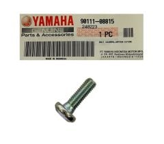 Yamaha R25 / Mt 25 Ön Fren Disk Cıvatası 2015-2021 (90111-08815)