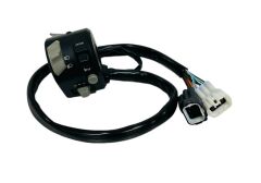 CF Moto SR 250 Sol Kütük Euro4 Orjinal (6KM#-166000-8001)