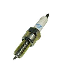 Honda Dio NGK Buji 2021