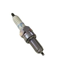 Rks Spontini 110 NGK Buji
