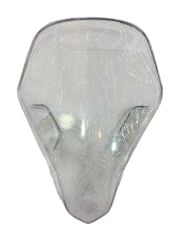 CF Moto Sr 250 Ön Siperlik Camı E5 Orjinal (6KMV-040002-8500)