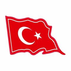 Gogo Türk Bayrağı Desenli Sticker 100 x 65 mm