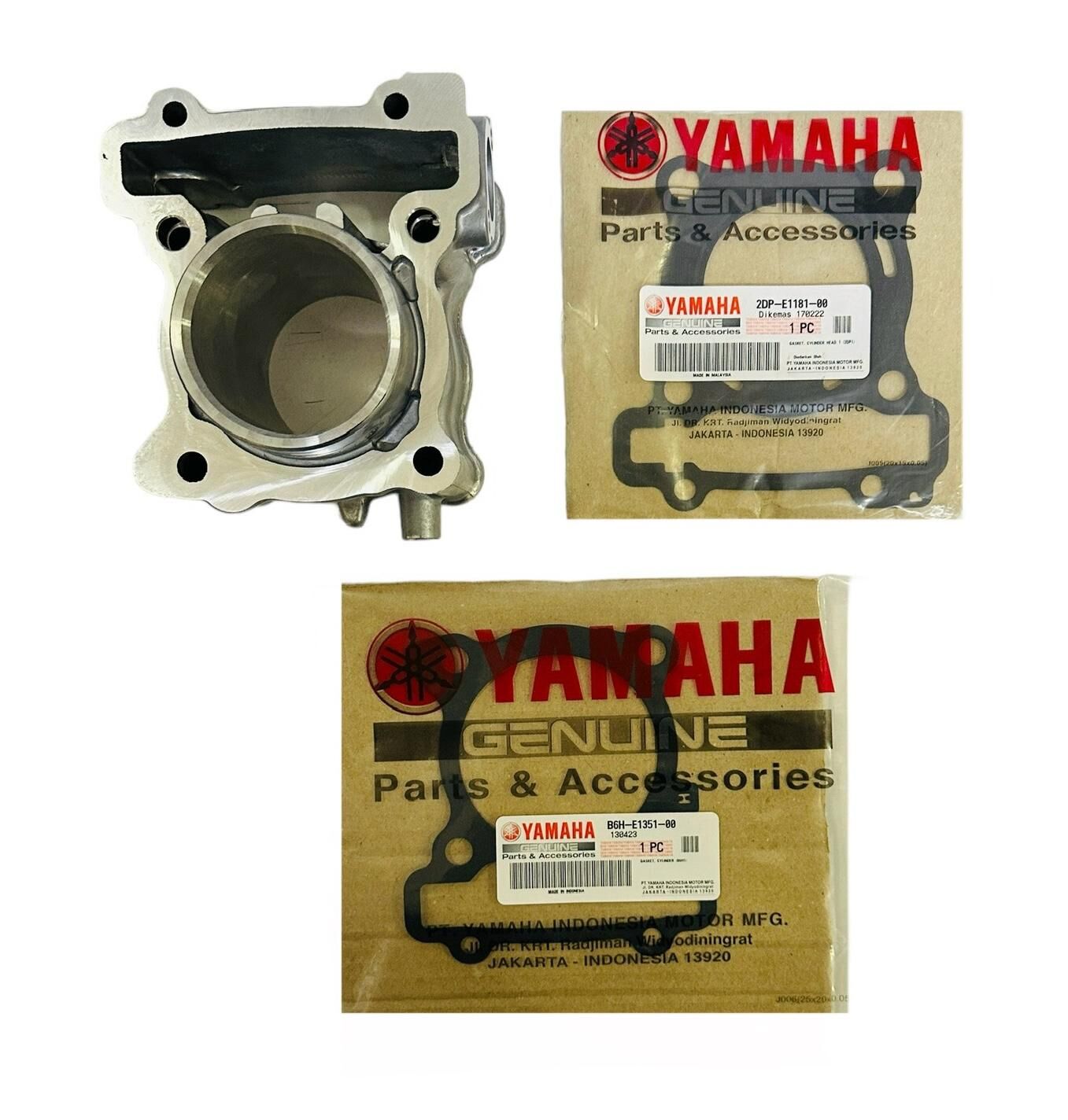 Yamaha Nmax 155 Silindir Orjinal 2021-2024 (B6H-E1311-00)