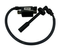 Bajaj Dominar 400 Ateşleme Bobini Pipolu Orjinal 2019-2023 (DT351202)