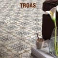 TROAS