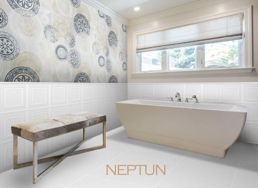 NEPTUN