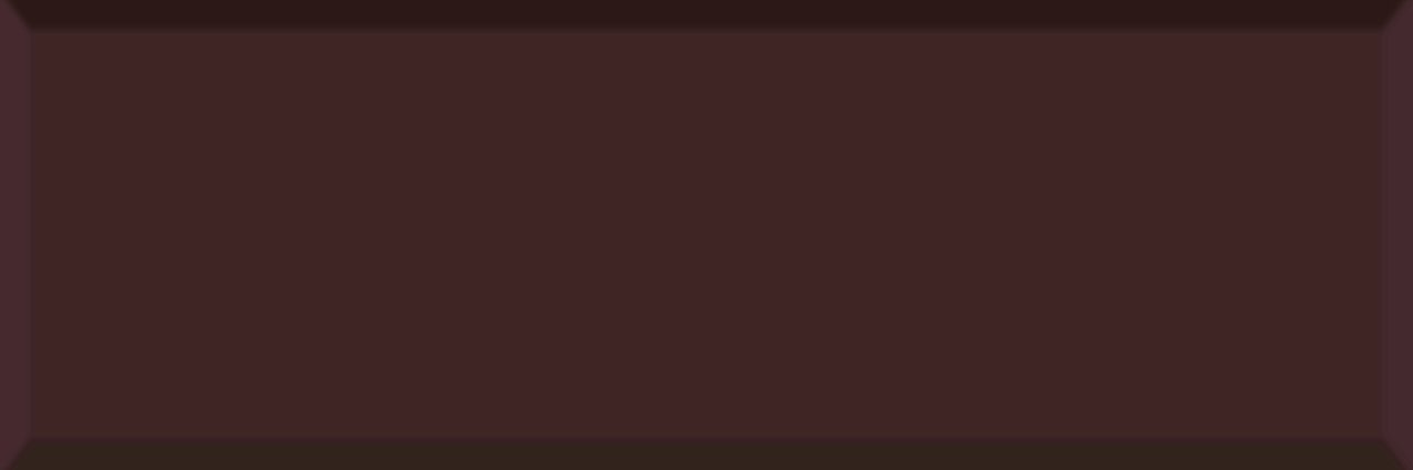 EGE SERAMİK 10X30 DIAMANTE DAMSON - 100X300DTM14