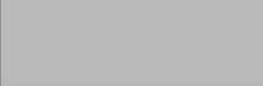 EGE SERAMİK 10X30 PLAIN PARLAK GRİ - 100X300BEY03