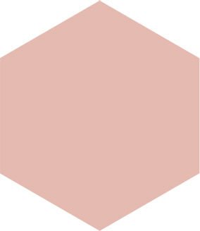 EGE SERAMİK 10X11,6 MACARON PEMBE - 100X116MCN83