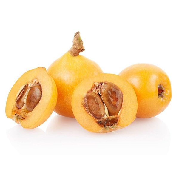 Mnv Erık Malta, 500 gr
