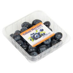 Excelente Yaban Mersini Blueberry