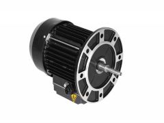 Gemaş Pumpex-300M 3 HP Monofaze Pompa