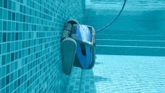 Dolphin M600 Havuz Robotu