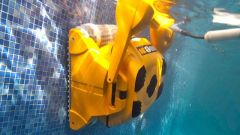 Dolphin Wave 30 Havuz Robotu