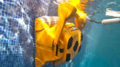 Dolphin PLECOS Wave 100 Havuz Robotu Arabasız