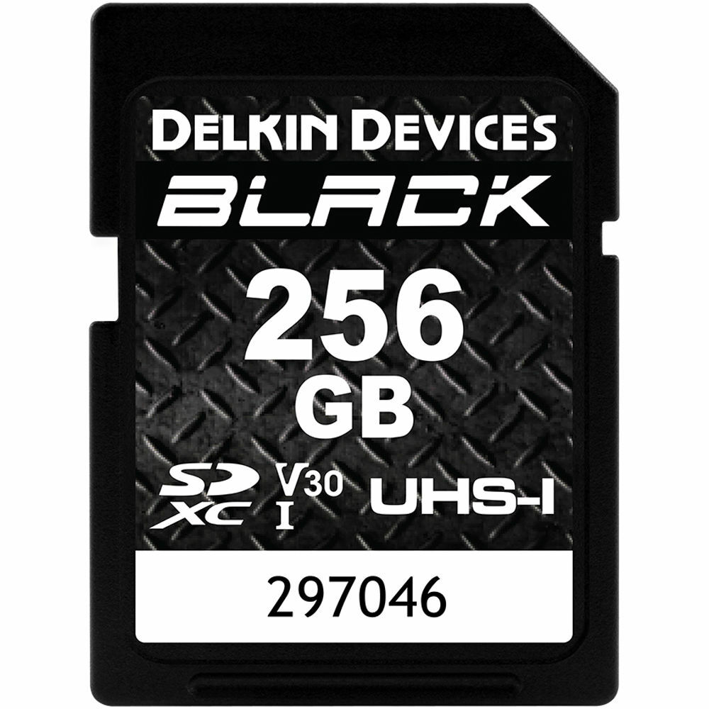 Delkin Devices 256GB Black 90MB/s V30 SDXC Hafıza Kartı