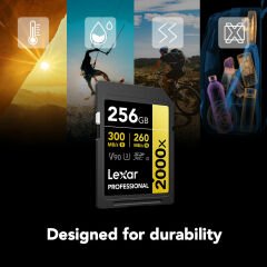 Lexar 256GB Gold 2000x V90 UHS-II SDXC Hafıza Kartı