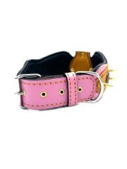 Warrior Figured Special Design Spiked Dog Collar