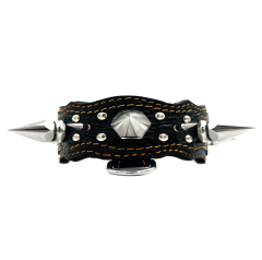 Big Silver Spiked Luxury Leather Dog Collar