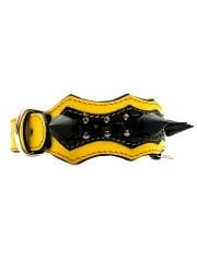 Luxury Leather Big Spiked Dog Collar