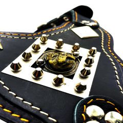 Black ''Titan'' Pitbull Head Leather Dog Harness