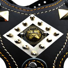 Black ''Titan'' Pitbull Head Leather Dog Harness