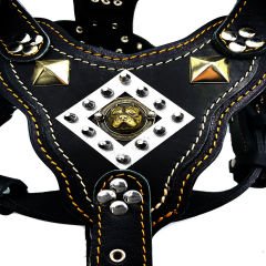 Black ''Titan'' Pitbull Head Leather Dog Harness