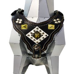 Black ''Titan'' Pitbull Head Leather Dog Harness