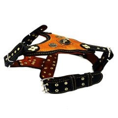 Mustard Pitbull Head Leather Dog Harness