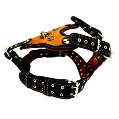 Mustard Pitbull Head Leather Dog Harness