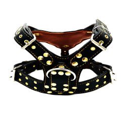 Mustard Pitbull Head Leather Dog Harness