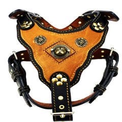 Mustard Pitbull Head Leather Dog Harness