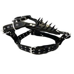 Spiked Pitbull Dog Harness