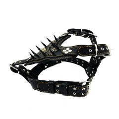 Spiked Pitbull Dog Harness