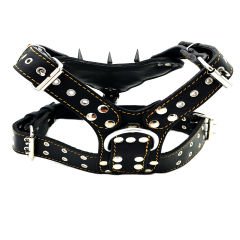 Spiked Pitbull Dog Harness