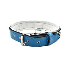 Blue ''Star'' Reflected Leather Dog Collar
