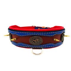 Brown ''Desert Lion'' Leather Dog Collar
