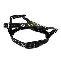 Black ''Star and Crescent'' Leather Dog Harness