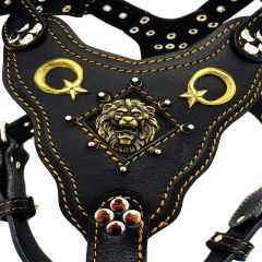 Black ''Star and Crescent'' Leather Dog Harness