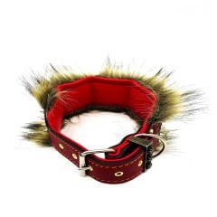 Red ''Kings of the Jungle'' Fur Leather Dog Collar