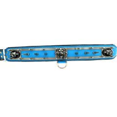 Blue ''Spartan'' Spiked Leather Dog Collar