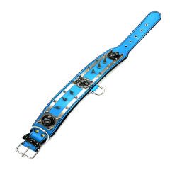 Blue ''Spartan'' Spiked Leather Dog Collar
