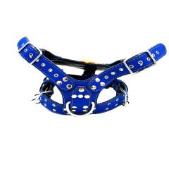 Blue ''Nemean'' Lion Head Leather Dog Harness