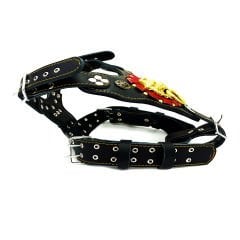 Black ''Nemean'' Lion Leather Dog Collar
