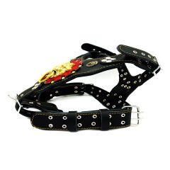 Black ''Nemean'' Lion Leather Dog Collar