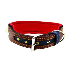 Brown-Navy Blue ''Zeus'' Leather Dog Collar