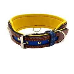 Brown-Dark Blue ''Hercules'' Spiked Leather Dog Collar