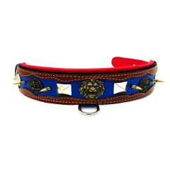 Brown-Navy Blue ''Hercules'' Spiked Leather Dog Collar