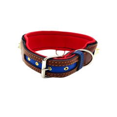 Brown-Navy Blue ''Hercules'' Spiked Leather Dog Collar