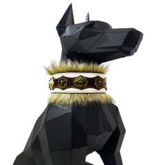 White-Brown ''King Lion'' Leather Dog Collar